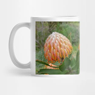 Lavender Farms Study 34 Mug